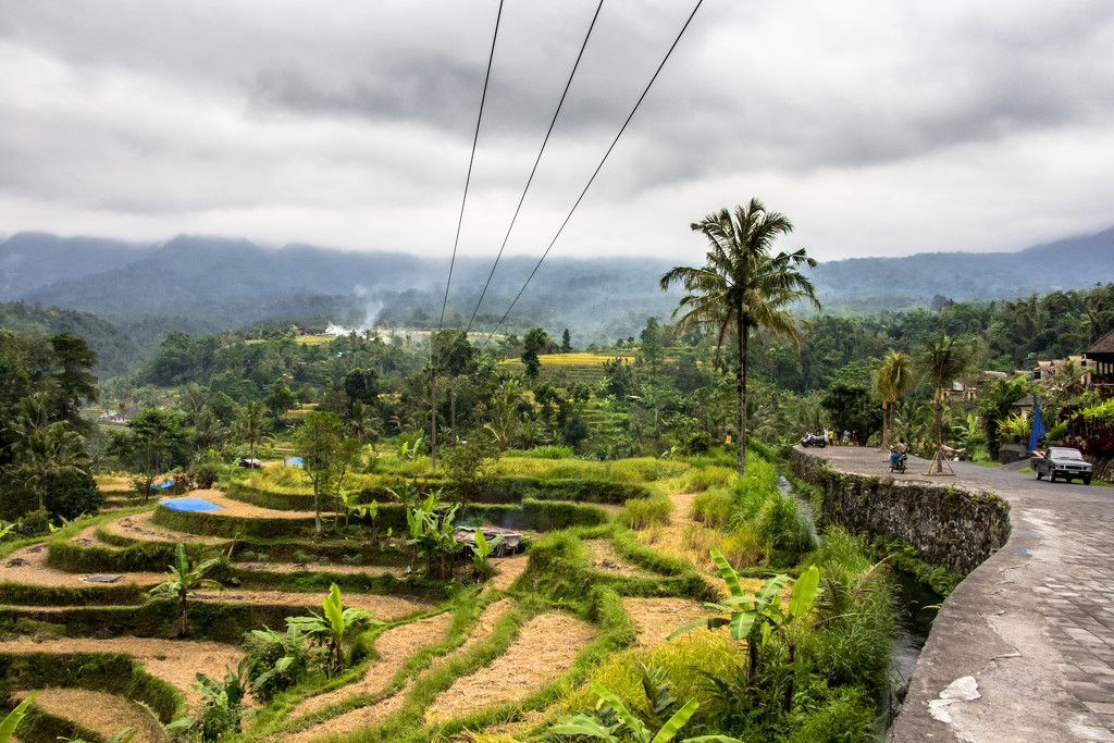 Destination: Rice Terraces by darylo