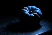 9th Dec 2015 - blue pumpkin