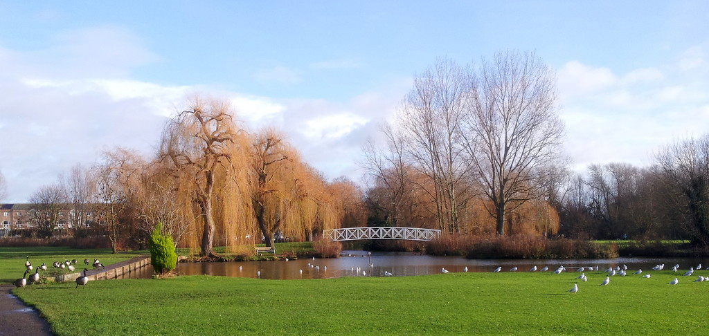 Riverside park by busylady