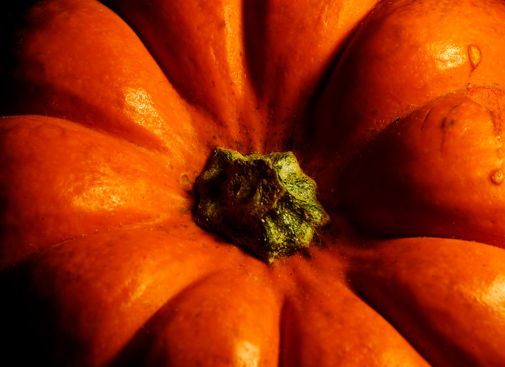 Pumpkin centre by davidrobinson