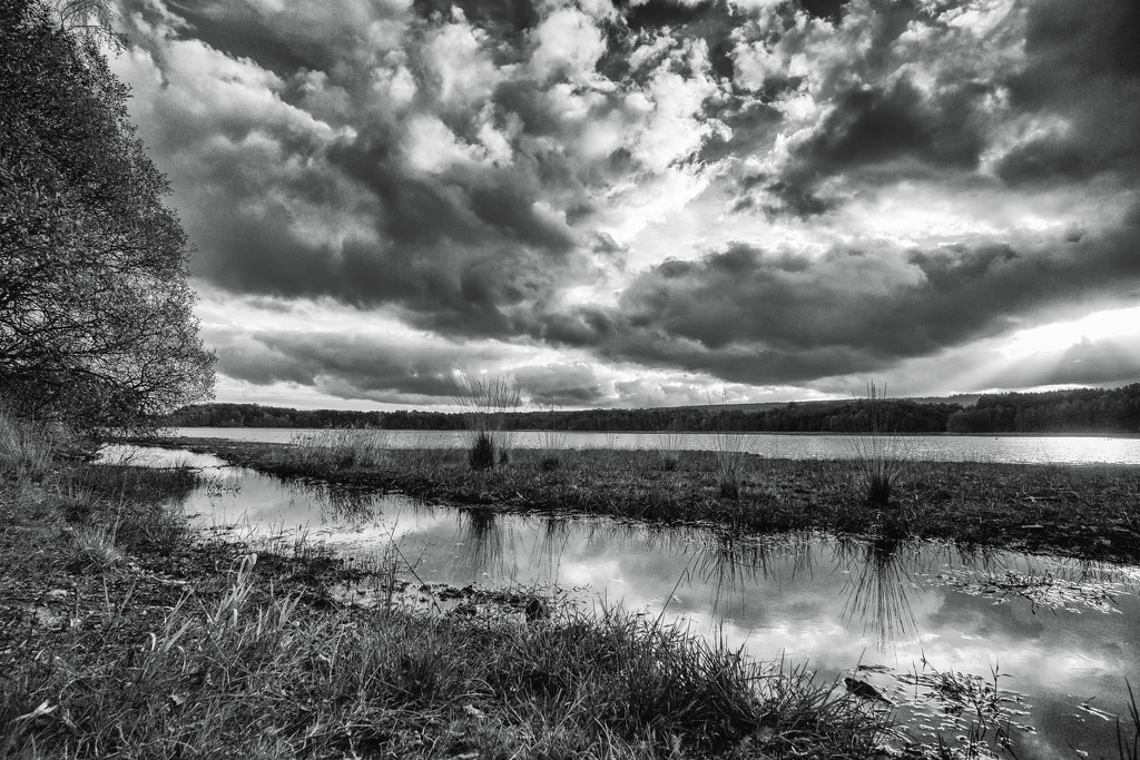 Dramatic sky over Paimpont lake... by vignouse