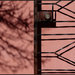 going against the rule of thirds by aikimomm