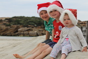 18th Dec 2015 - A Merry Aussie Christmas to you all :)