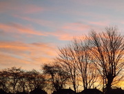 18th Dec 2015 - This morning's sky