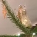 Christmas fairy by cataylor41