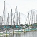 Sailboats at the marina  by soboy5