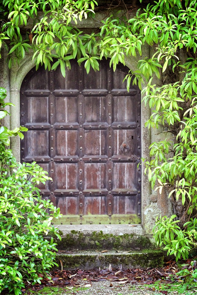A door by swillinbillyflynn