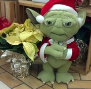 19th Dec 2015 - Christmas Yoda