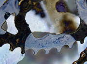 18th Dec 2015 - abstract gears