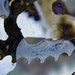 abstract gears by summerfield