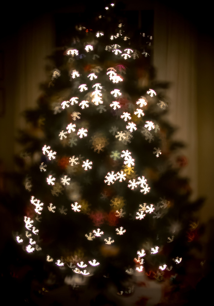 Snowflake Lights by rosiekerr
