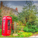 The Village Telephone Box,Upper Harlestone by carolmw
