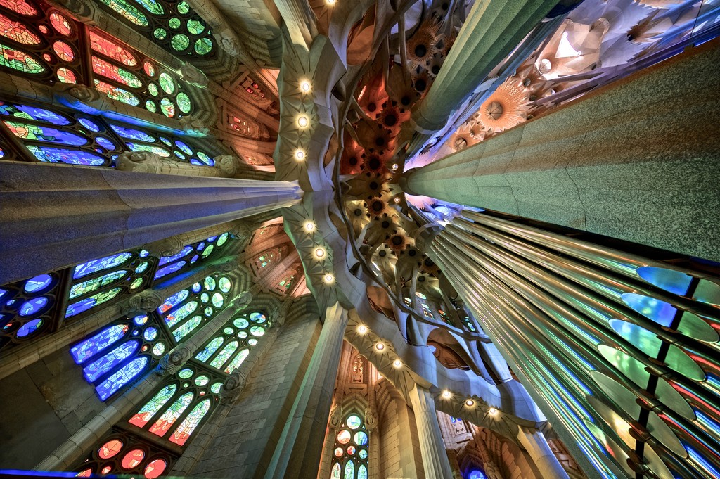 Looking up the Pipe Organ at La Sagrada by jyokota