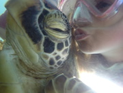 19th Jan 2013 - Turtle selfie ❤️🐢