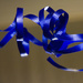 blue ribbon by randystreat