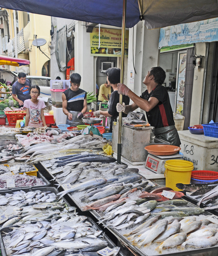Fresh Fish at Street Market by ianjb21