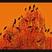 Crow Tree House... by soylentgreenpics
