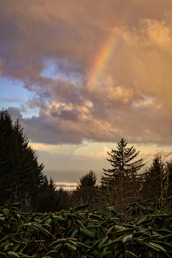 Rainbow Dawn  by jgpittenger