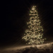 star lit tree by aecasey