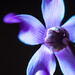 Luminous luminosity by pistache