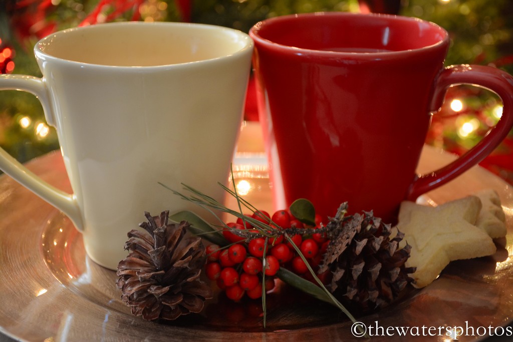 A gift of mugs and spiced tea by thewatersphotos