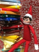 20th Dec 2015 - What a Ritter Sporty Elf on the Shelf 