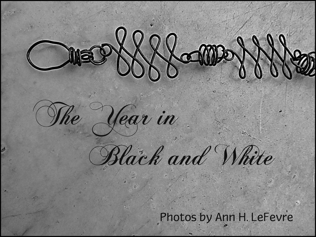 Calendar Cover/ Black and White by olivetreeann