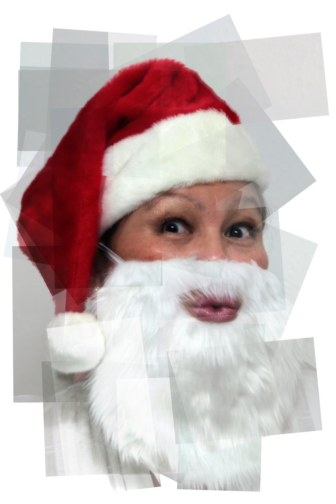don't i make a handsome santa? by summerfield