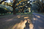 21st Dec 2015 - My shadow takes a picture at Charles Towne Landing State Historic Site, Charleston, SC.  