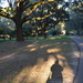 My shadow takes a picture at Charles Towne Landing State Historic Site, Charleston, SC.   by congaree