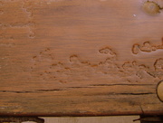 12th Aug 2015 - Water on the table
