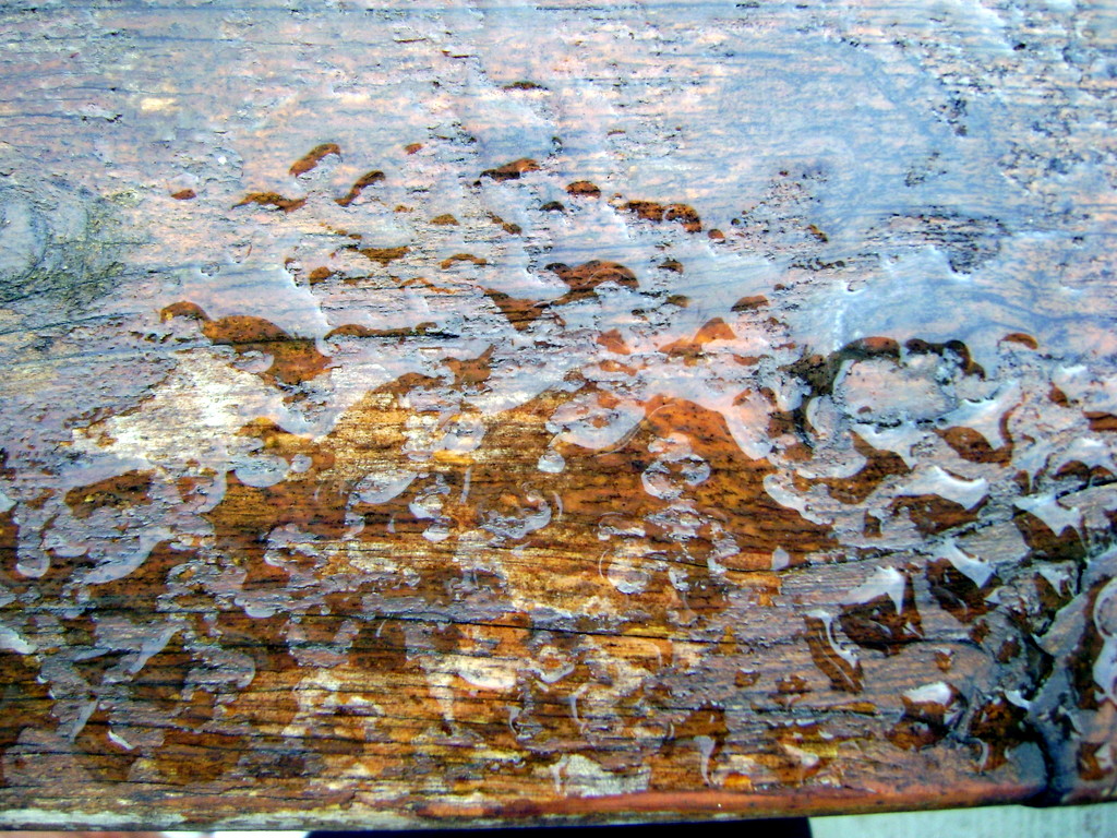 Rain on table 2 by marguerita