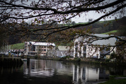 15th Dec 2015 - Along the River Dart