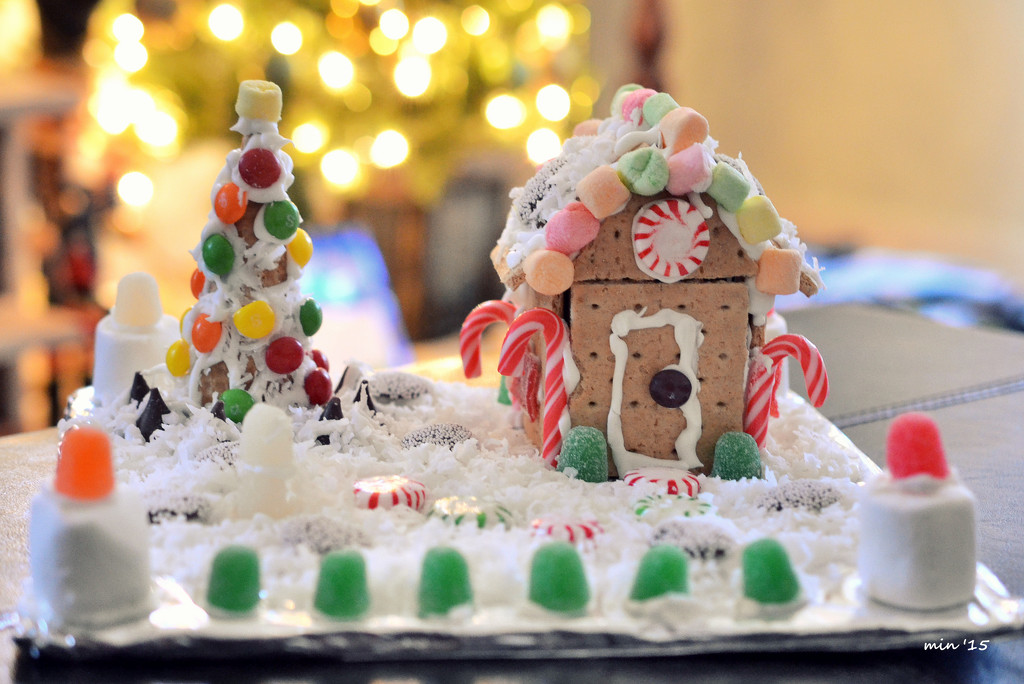Our Tiny Gingerbread House by mhei