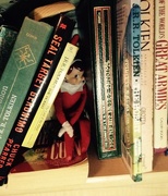 21st Dec 2015 - A Library Fit For an Elf