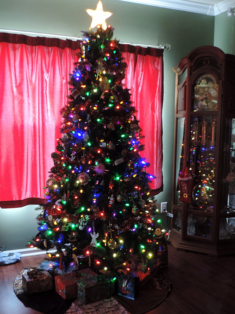 Oh, Christmas Tree! by homeschoolmom