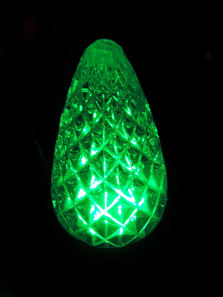 Green bulb by homeschoolmom