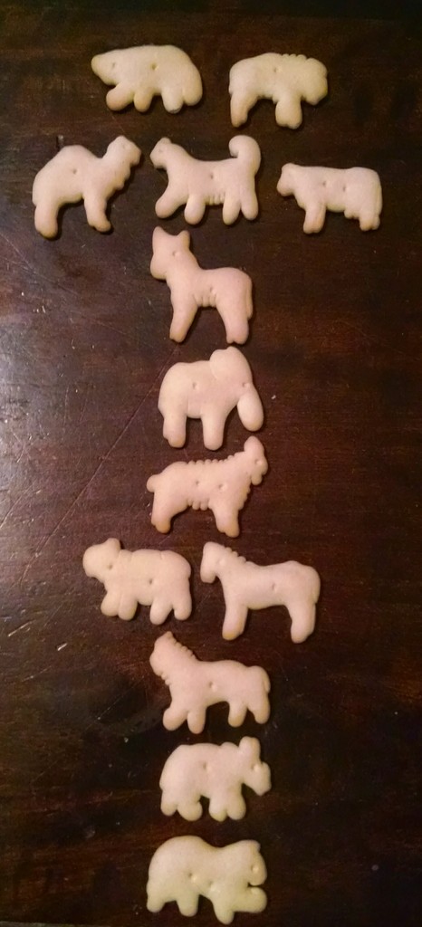 Animal crackers by scottmurr
