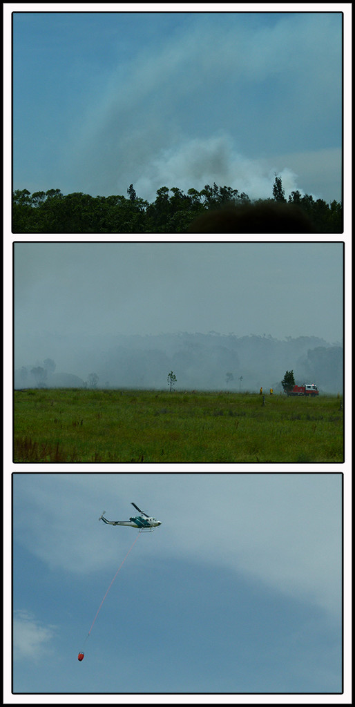Bush Fire by onewing
