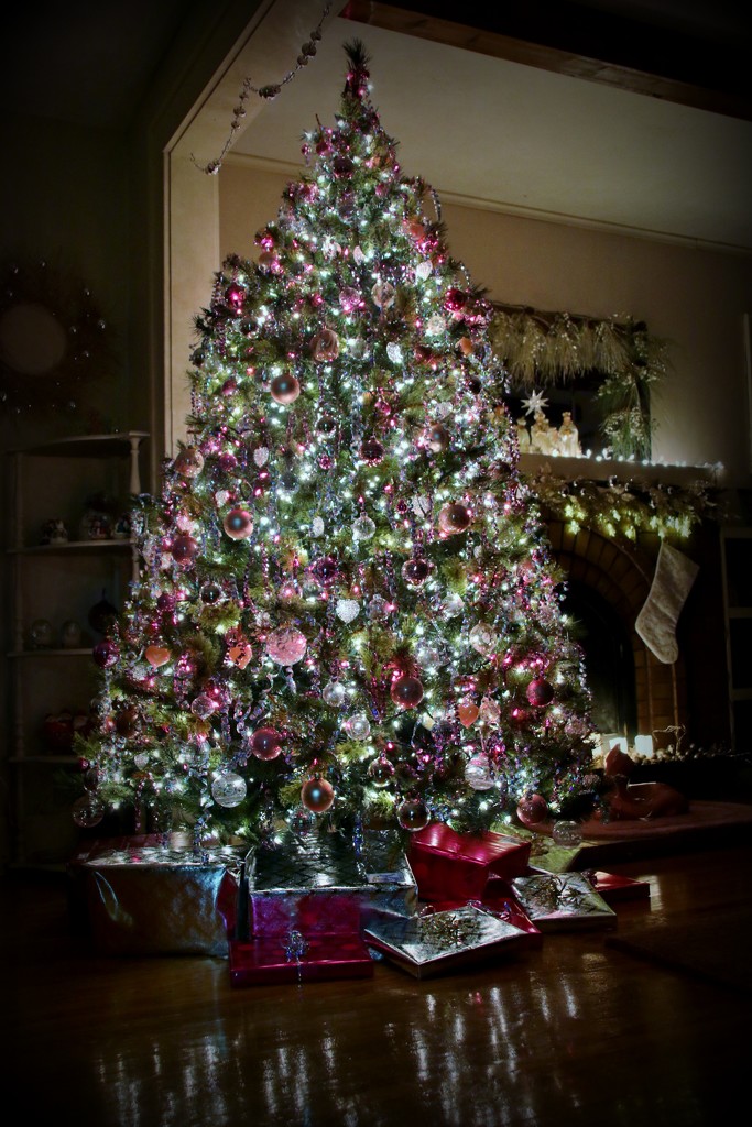 O Christmas Tree by lynnz