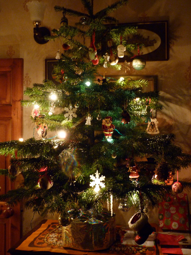 Christmas tree by shirleybankfarm