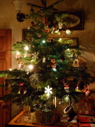21st Dec 2015 - Christmas tree