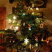 Christmas tree by shirleybankfarm