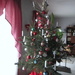 Our tree by bruni