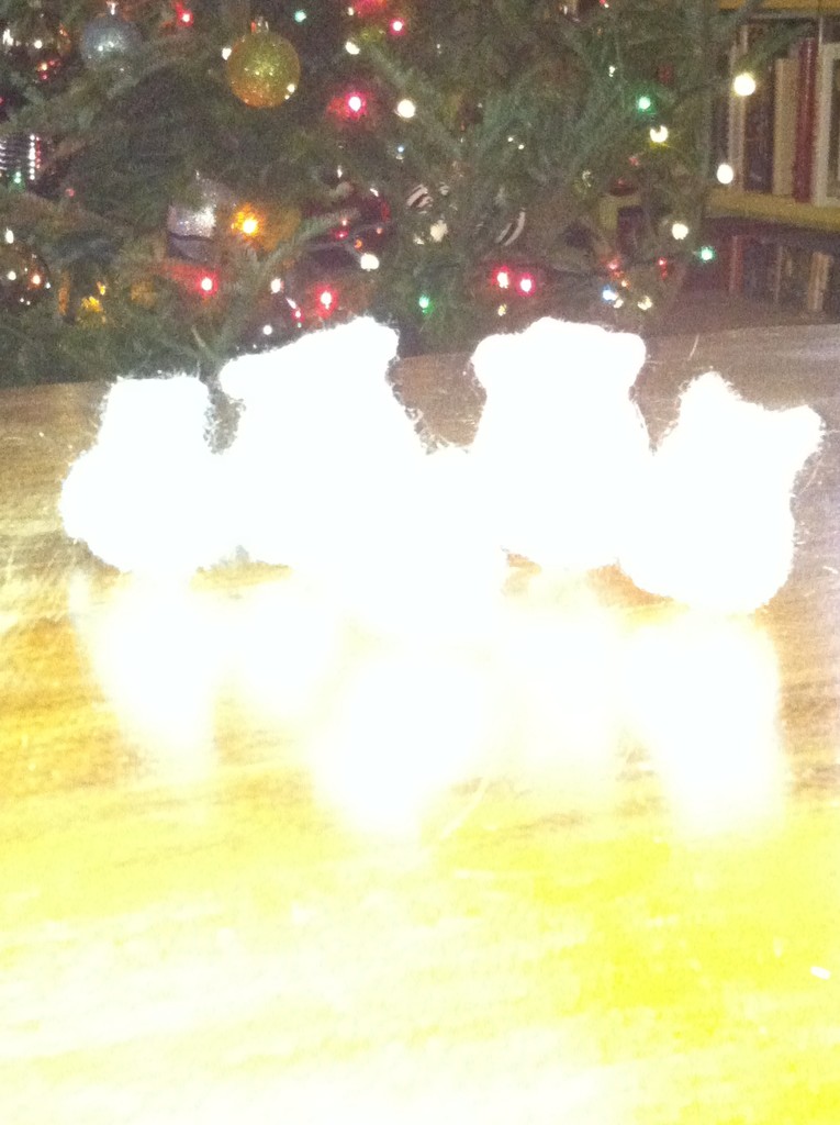 Glowing cats by tatra