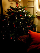 20th Dec 2015 - Oh Christmas tree...