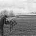An Amish Posting by digitalrn