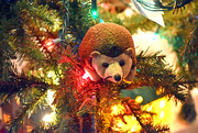 16th Dec 2015 - Hedgehog Ornament