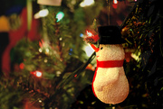 18th Dec 2015 - Snowman Ornament