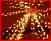 22nd Dec 2015 - Christmas Joy